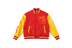 Hellstar Records Werewolf Tiger Embroidered Leather Sleeve Letterman Jacket - product image 1