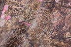 Sp5der 555555 Real Tree Og Web Denim Jacket - Beige Camo - product image 9