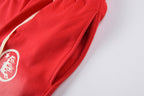 Hellstar Studios Red Flare Washed Spliced Pants - product image 9