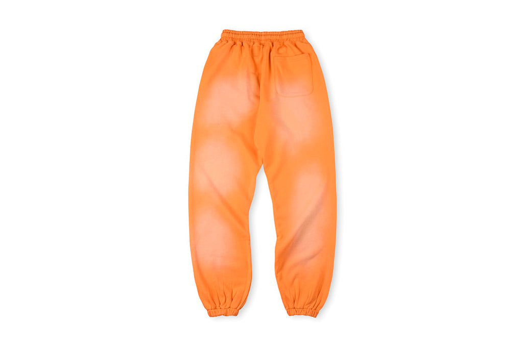 Hellstar Studios Brainwashed Brain Print Washed Ribbed Cuff Pants - product image 2