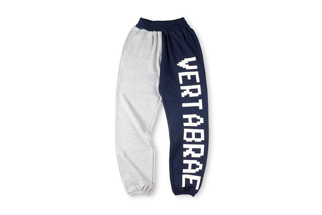Vertabrae 3D Raised Print Color-Block Spliced Sport Sweatpants - product image 1