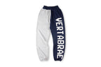 Vertabrae 3D Raised Print Color-Block Spliced Sport Sweatpants - product image 1