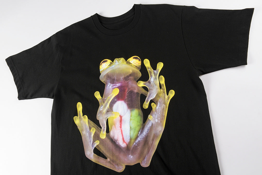 X-Ray Tree Frog Graphic T-Shirt - Black / Light Gray - product image 7