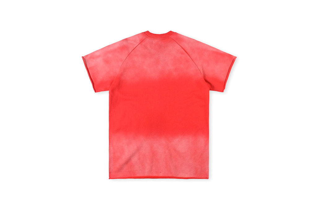 Vertabrae University Vintage Washed Graphic T-Shirt - Blue - product image 5