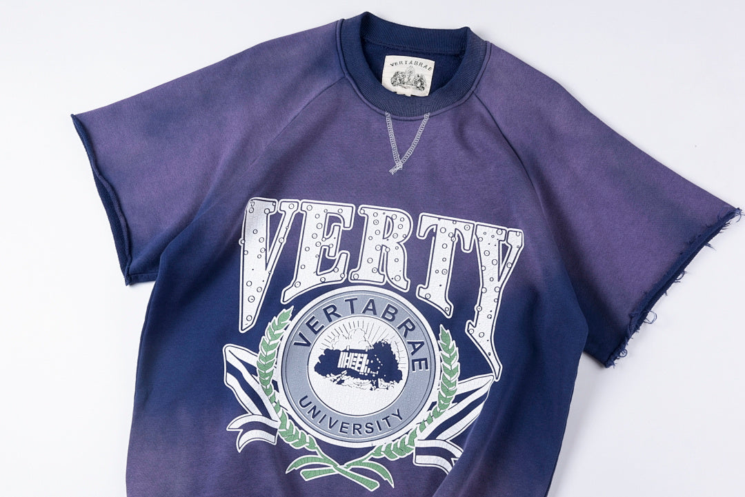 Vertabrae University Vintage Washed Graphic T-Shirt - Blue - product image 12
