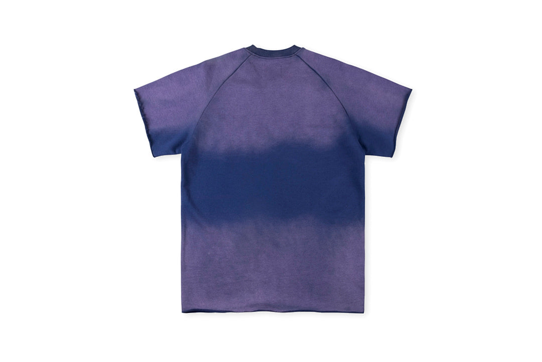 Vertabrae University Vintage Washed Graphic T-Shirt - Blue - product image 2