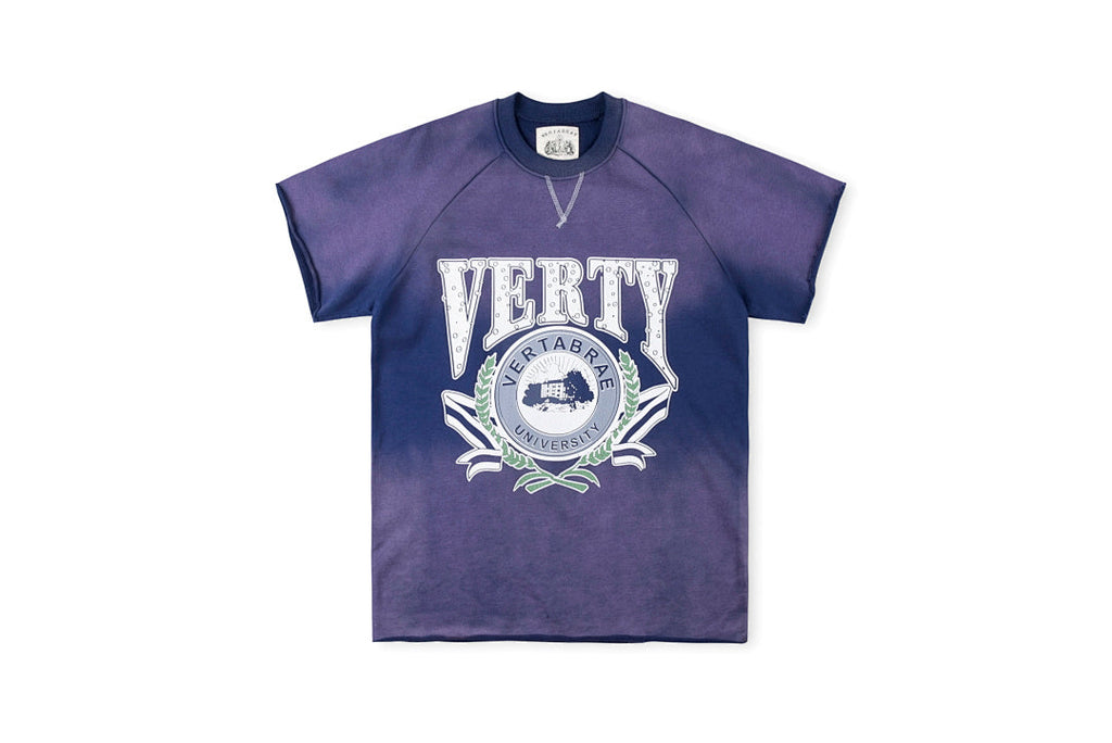 Vertabrae University Vintage Washed Graphic T-Shirt - Blue - product image 1