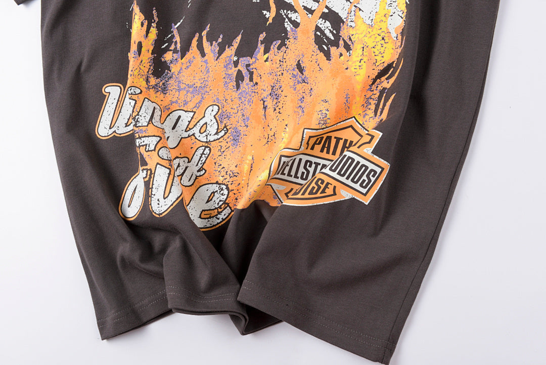 Hellstar Studios Wings of Fire Eagle Washed T-Shirt - Charcoal - product image 7